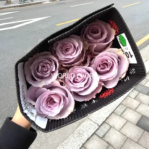 장미 쿨다운
