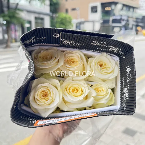 장미 캔들라이트