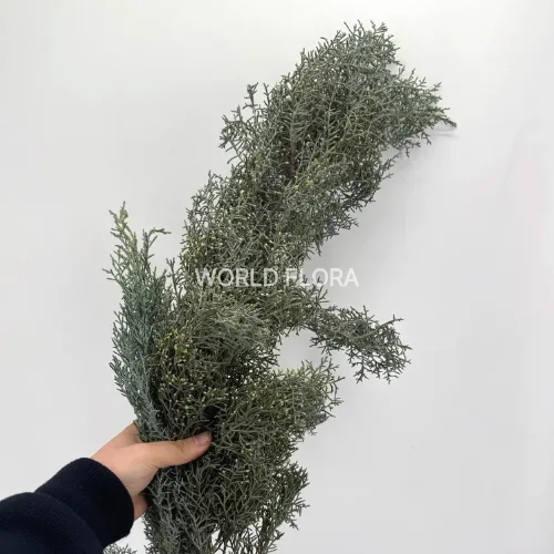 소재 블루아이스