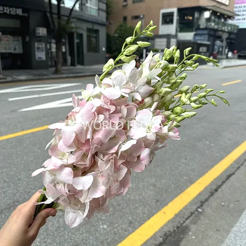 덴파레 피치