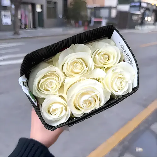 장미 프라우드