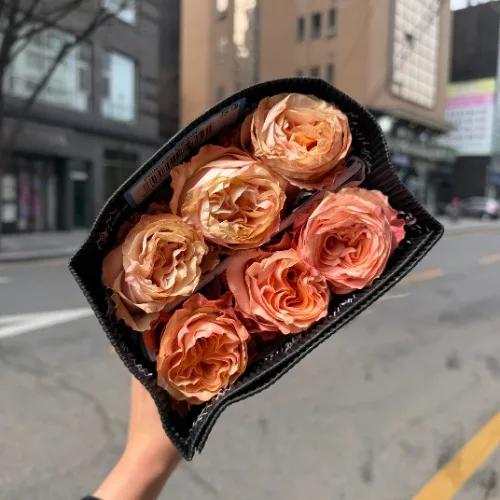 장미 프린세스크라운