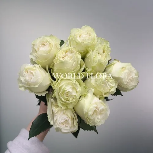 장미 문스톤