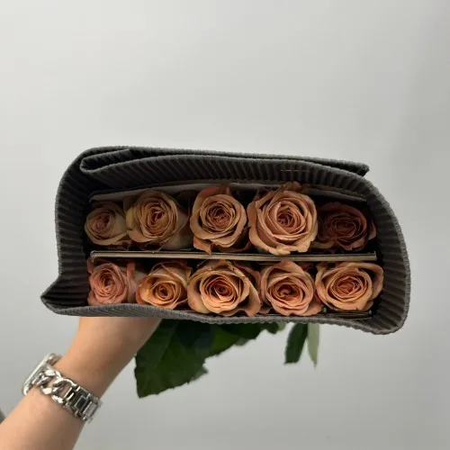 장미 카푸치노R