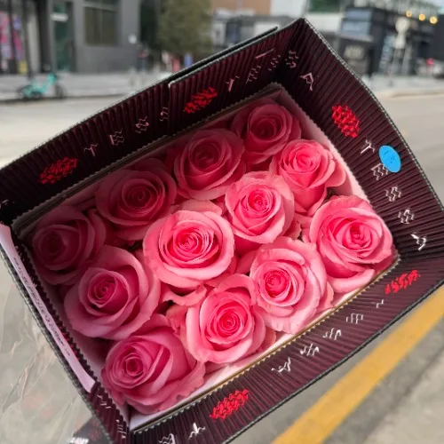 장미 오팔라