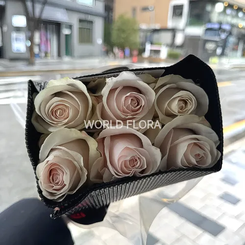 장미 포마로사