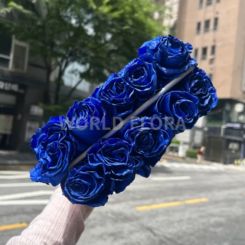 장미 염색 블루스카이
