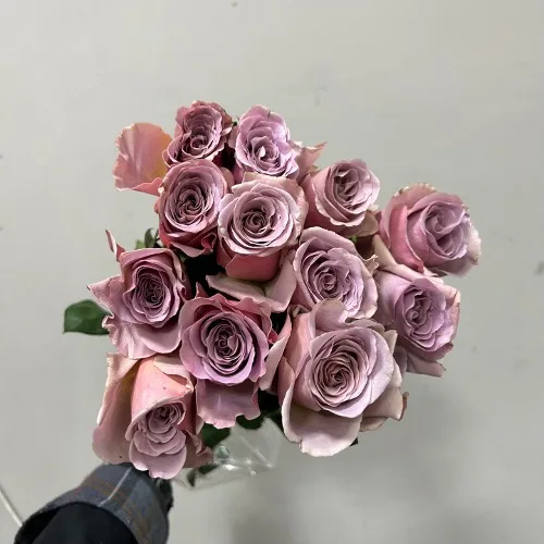 장미 카페라떼