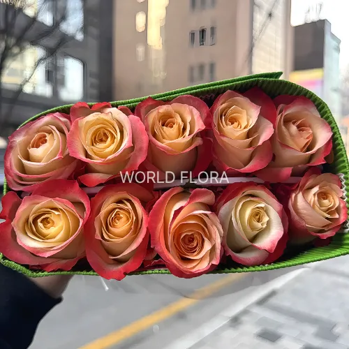 장미 카바레