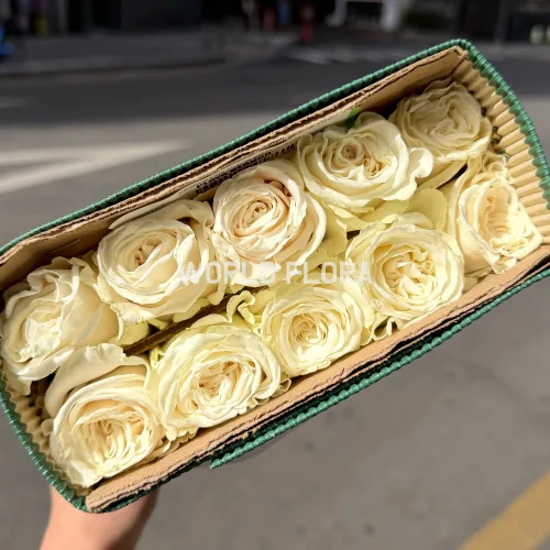 장미 플라야블랑카