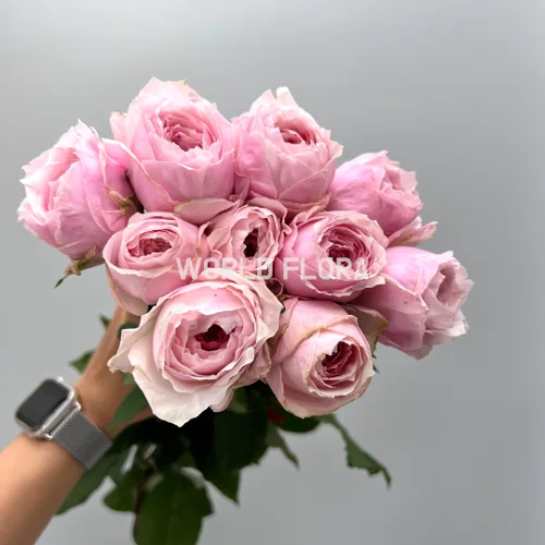 장미 츠무기L