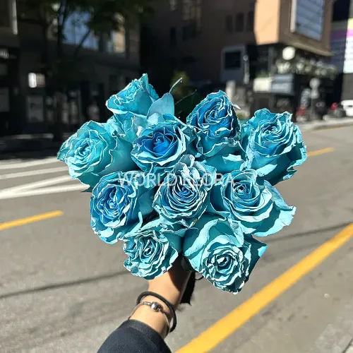장미 염색 코스믹그린