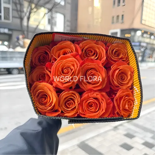 장미 오렌지크러쉬